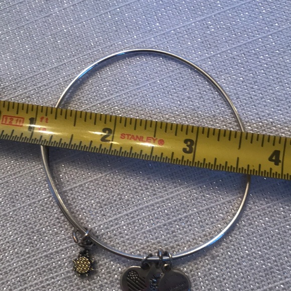 2 Alex and Ani charm bangle bracelet one U.S.M.C. - Picture 6 of 7